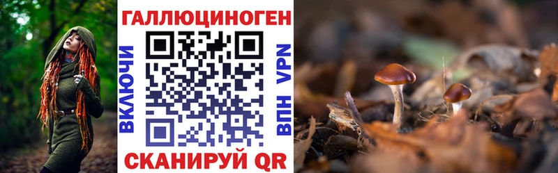 цены наркотик  Барабинск  Галлюциногенные грибы прущие грибы 